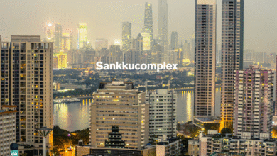 Sankkucomplex