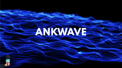 ankwave